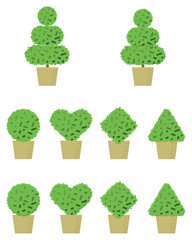 조경 나무 가로수 덤불