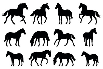 Horse Silhouette Collection Black Horse Poses Running Walking Grazing Standing Art