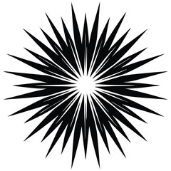 Obraz premium Abstract Black and White Starburst Design Element