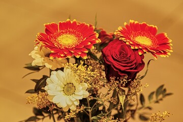 Blumenstrauß mit roten Gerbera - Rosen u. Dahlie