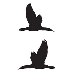 Elegant Bird Vector Collection – Minimalist and Colorful Flying Birds Illustration for Nature Projects .
