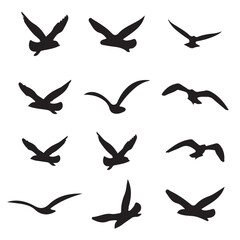Elegant Bird Vector Collection – Minimalist and Colorful Flying Birds Illustration for Nature Projects .