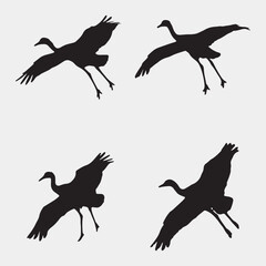 Elegant Bird Vector Collection – Minimalist and Colorful Flying Birds Illustration for Nature Projects .