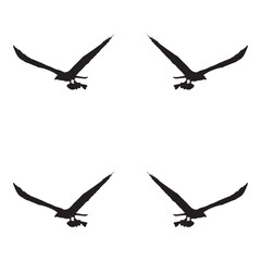 Elegant Bird Vector Collection – Minimalist and Colorful Flying Birds Illustration for Nature Projects .