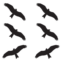 Elegant Bird Vector Collection – Minimalist and Colorful Flying Birds Illustration for Nature Projects .