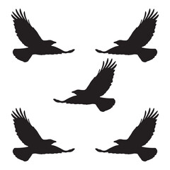 Elegant Bird Vector Collection – Minimalist and Colorful Flying Birds Illustration for Nature Projects .