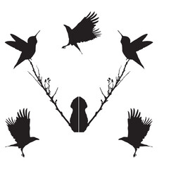Elegant Bird Vector Collection – Minimalist and Colorful Flying Birds Illustration for Nature Projects .