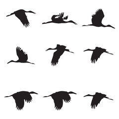 Elegant Bird Vector Collection – Minimalist and Colorful Flying Birds Illustration for Nature Projects .