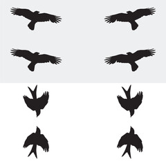Elegant Bird Vector Collection – Minimalist and Colorful Flying Birds Illustration for Nature Projects .