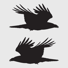 Elegant Bird Vector Collection – Minimalist and Colorful Flying Birds Illustration for Nature Projects .
