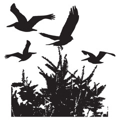 Elegant Bird Vector Collection – Minimalist and Colorful Flying Birds Illustration for Nature Projects .