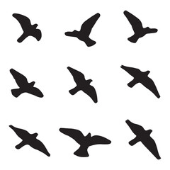 Elegant Bird Vector Collection – Minimalist and Colorful Flying Birds Illustration for Nature Projects .