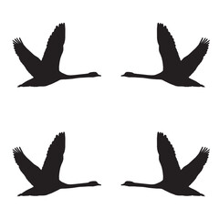 Elegant Bird Vector Collection – Minimalist and Colorful Flying Birds Illustration for Nature Projects .