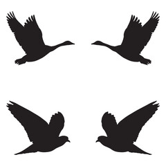 Elegant Bird Vector Collection – Minimalist and Colorful Flying Birds Illustration for Nature Projects .