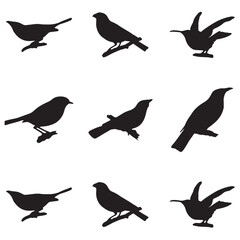 Elegant Bird Vector Collection – Minimalist and Colorful Flying Birds Illustration for Nature Projects .
