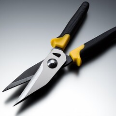 Obraz premium Tin Snips