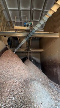 Vertical screen industrial auger conveyor streaming wood chips into storage silo, showcasing efficient material handling within wood processing facility