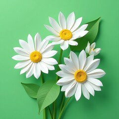 Elegant Paper Daisies: A Trio of Stylized White Blooms with Vibrant Yellow Centers on a Soft Green Background, Emphasizing Simplicity and Modern Design