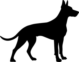 Doberman dog black silhouette.