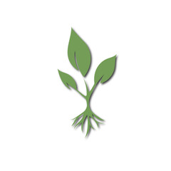 green leaves isolated on white background