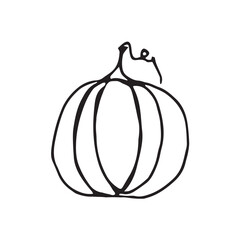 Pumpkin illustration in doodle style