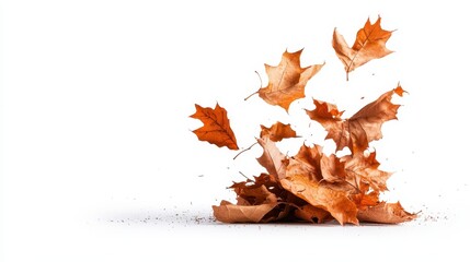 A dynamic display of autumn leaves swirling in the air, emphasizing the fleeting beauty of nature during the fall season on a stark white backdrop.