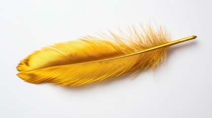 A striking image of a bright yellow feather gently resting on a pristine white background, capturing the essence of joy, creativity, and the beauty of nature's simplest forms.