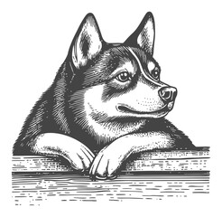 Vintage Woodcut Style Illustration of a Dog with a Thoughtful Expression