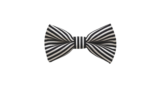 Stylish black and white striped bow tie (2)