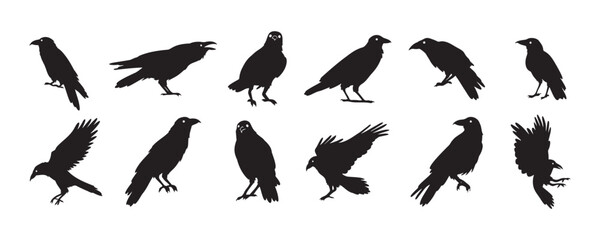 Obraz premium Crow isolated black silhouette set. Crows, raven halloween Dark birds icon clipart