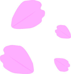 Sakura or Cherry blossom