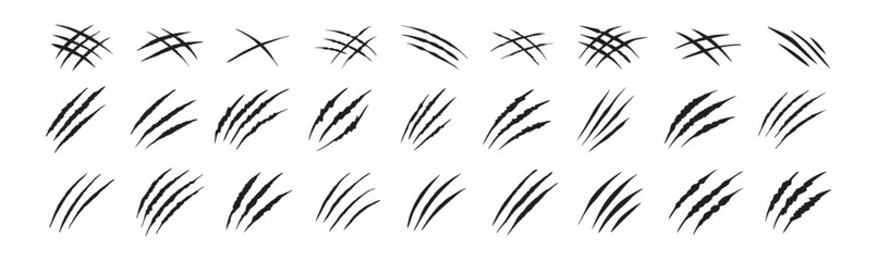 Claw scratches isolated. Black Bear tiger claws trails, animal scratched white paper. Flat scratch marks, racy wild beast tracks clipart