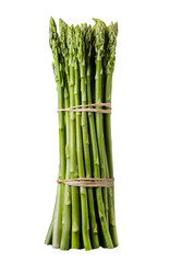 gr&uuml;ner Wildspargel, wild asparagus