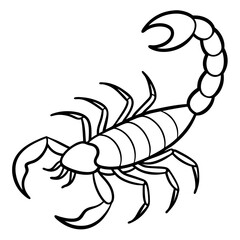 Scorpion Silhouette in Line Art