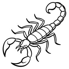 Scorpion Silhouette in Line Art