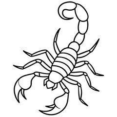 Scorpion Silhouette in Line Art