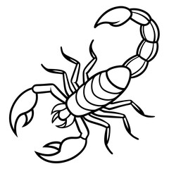 Scorpion Silhouette in Line Art