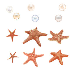 Oceanic stars and natural pearls from the bottom of the sea. Watercolor illustration. A set of red...