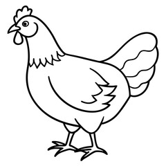 Smooth Line Art Chicken Graphic