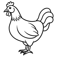 Smooth Line Art Chicken Graphic