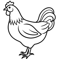 Smooth Line Art Chicken Graphic