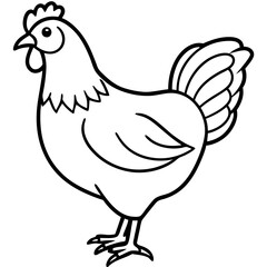 Smooth Line Art Chicken Graphic