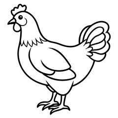 Smooth Line Art Chicken Graphic