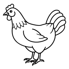 Smooth Line Art Chicken Graphic