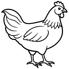 Smooth Line Art Chicken Graphic