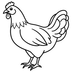 Smooth Line Art Chicken Graphic