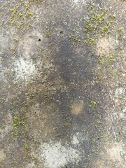 Mossy Weathered Concrete Wall Texture. Close-up of an old concrete wall with natural moss growth and weathered textures. Perfect for grunge, nature, or industrial backgrounds