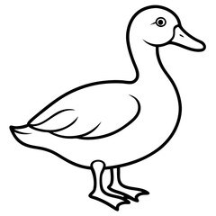 Stylish Duck Vector Line Art