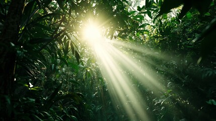 Sunlight beams filtering through lush, green jungle foliage