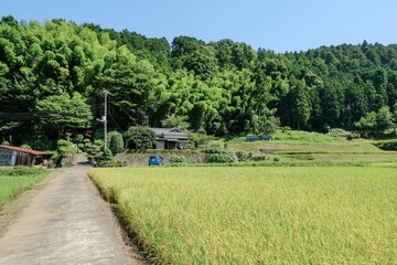 田舎の風景
